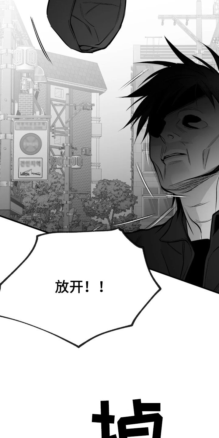 拳击手漫画,第253话1图