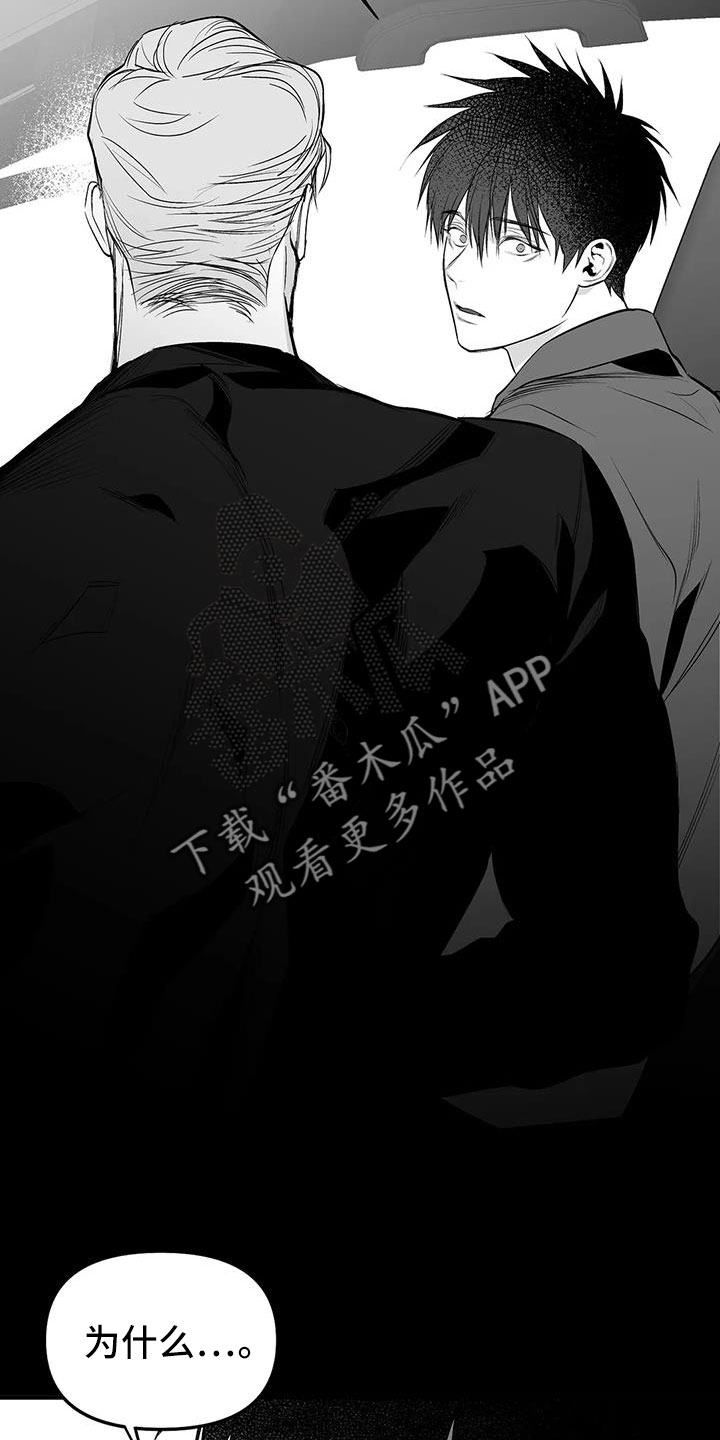 拳击手漫画,第212话1图