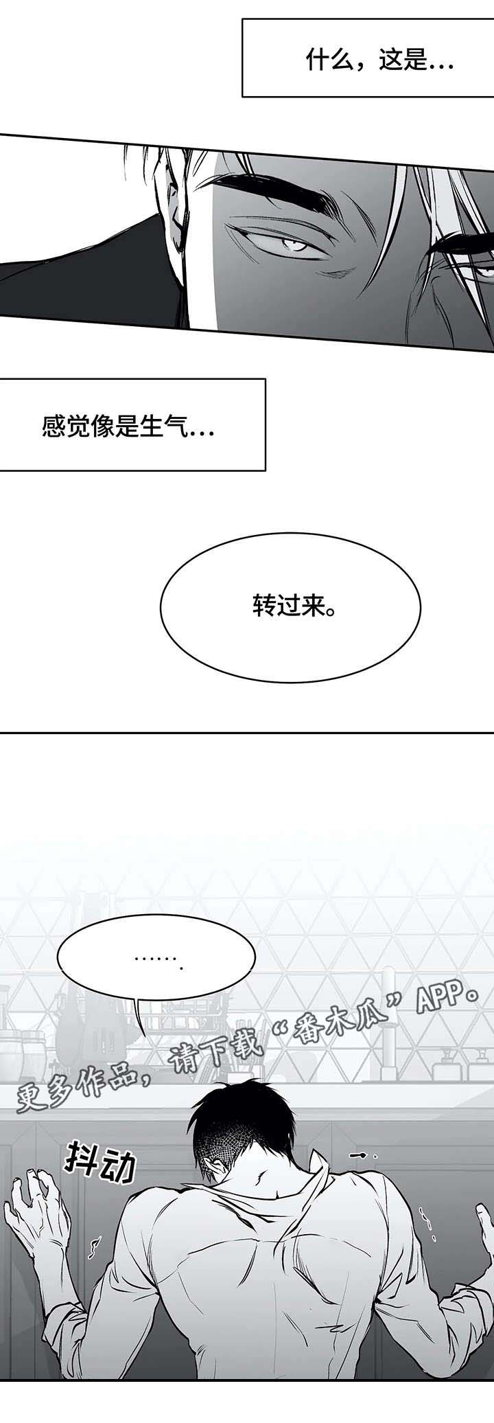 拳击手漫画,第26话1图