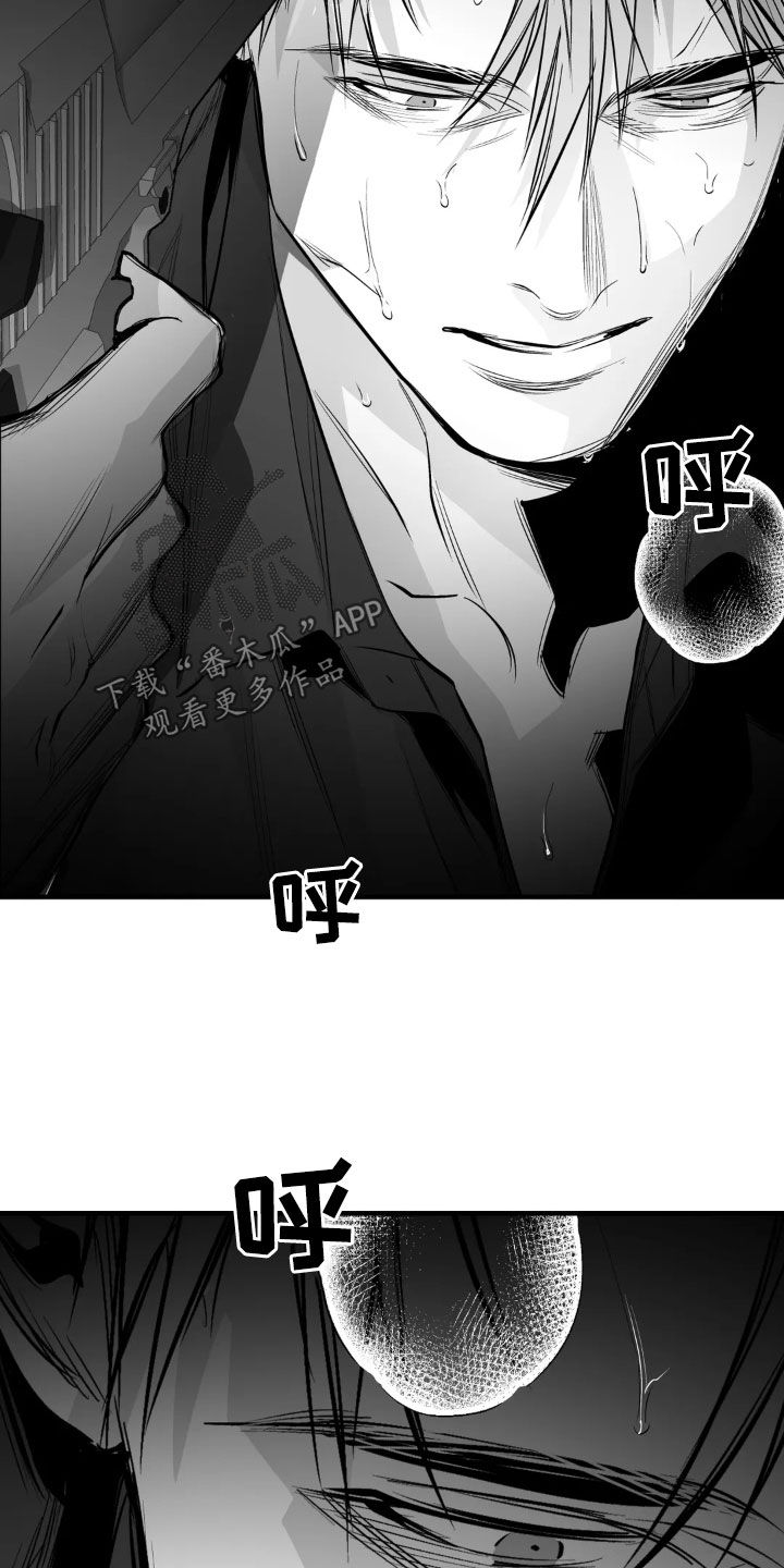 拳击手漫画,第258话1图