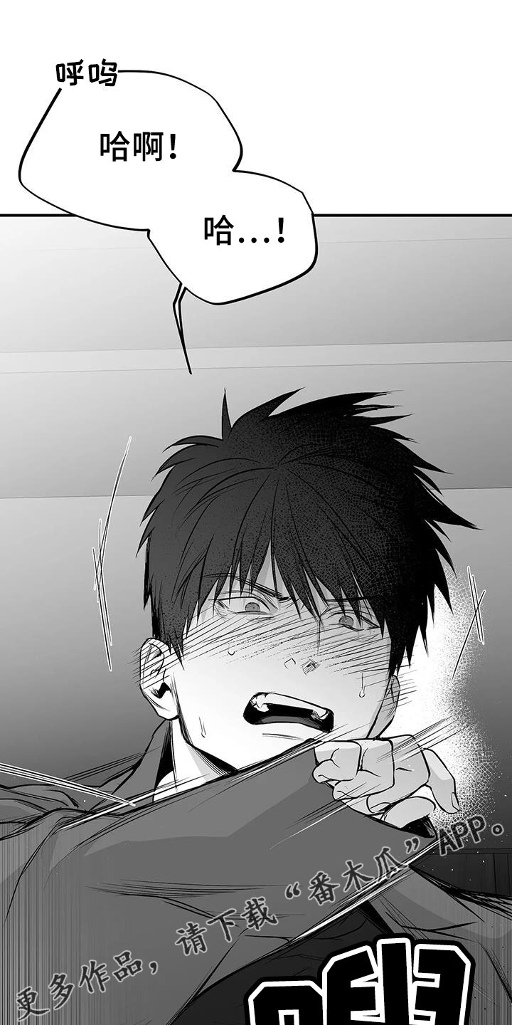拳击手漫画,第206话1图