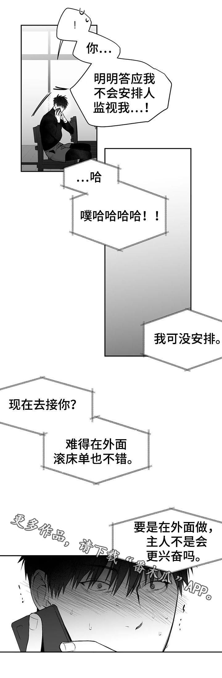 拳击手漫画,第110话2图
