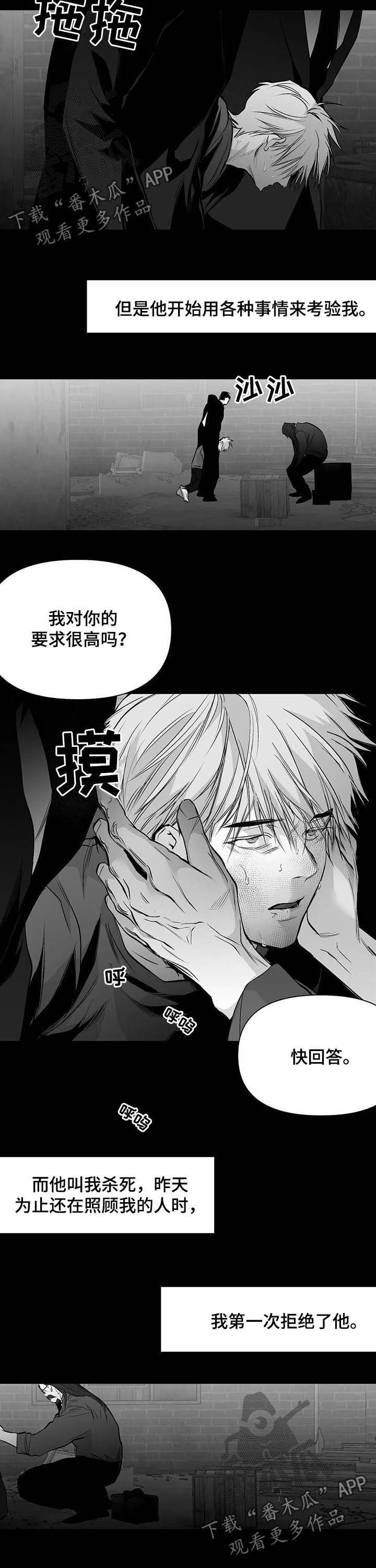 拳击手漫画,第137话1图