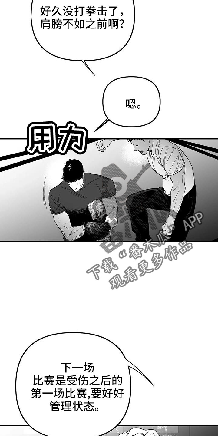拳击手漫画,第214话1图