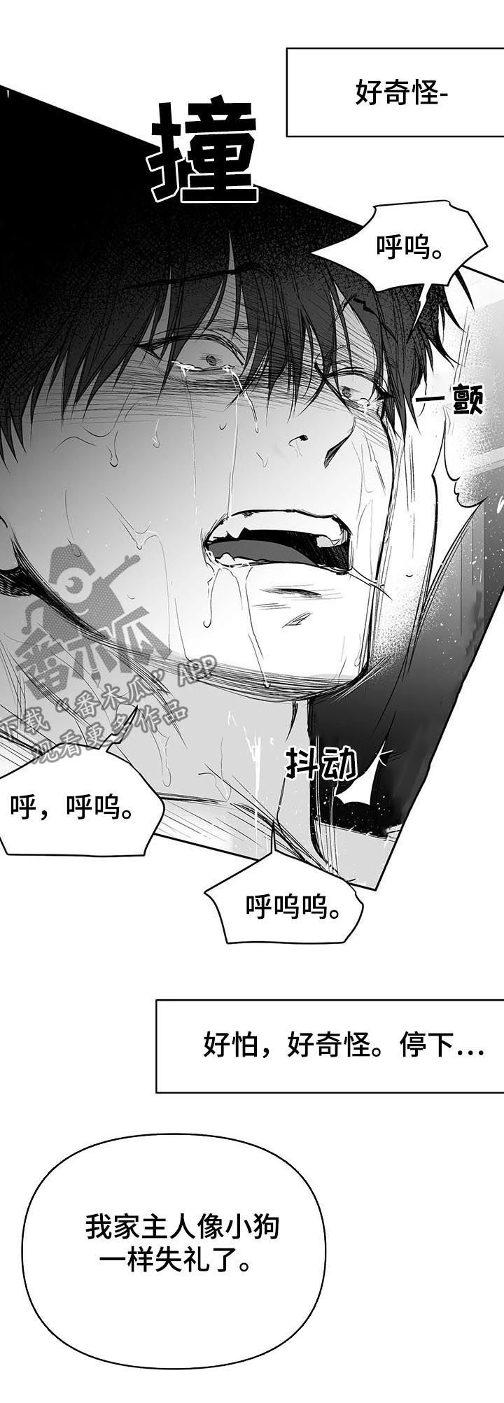 拳击手漫画,第112话2图