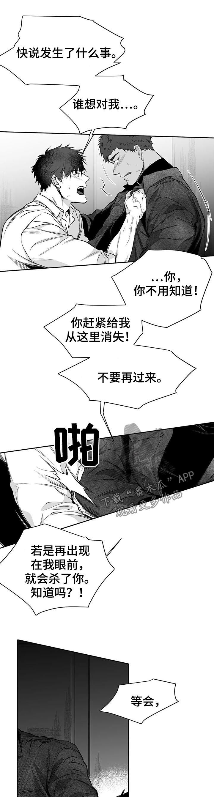 拳击手漫画,第84话1图