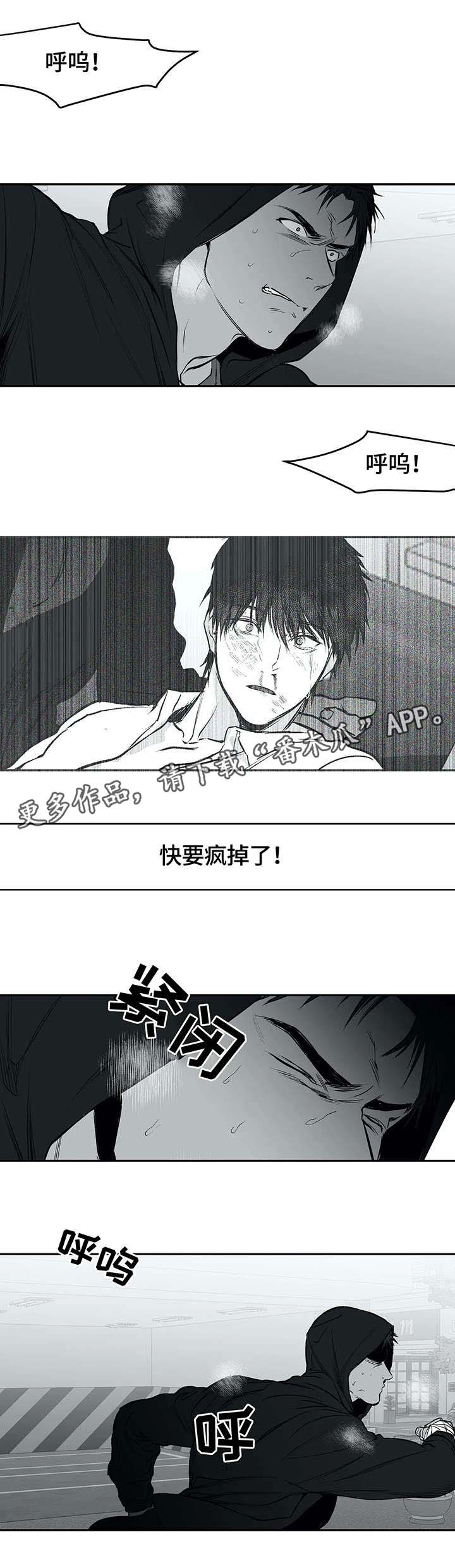 拳击手漫画,第29话2图