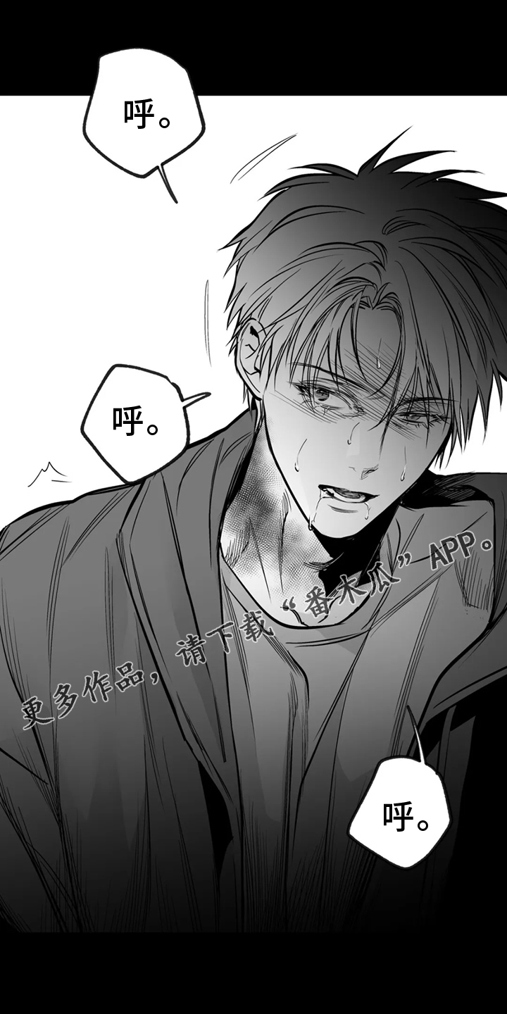 拳击手漫画,第248话1图