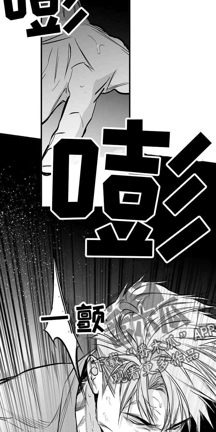 拳击手漫画,第237话2图