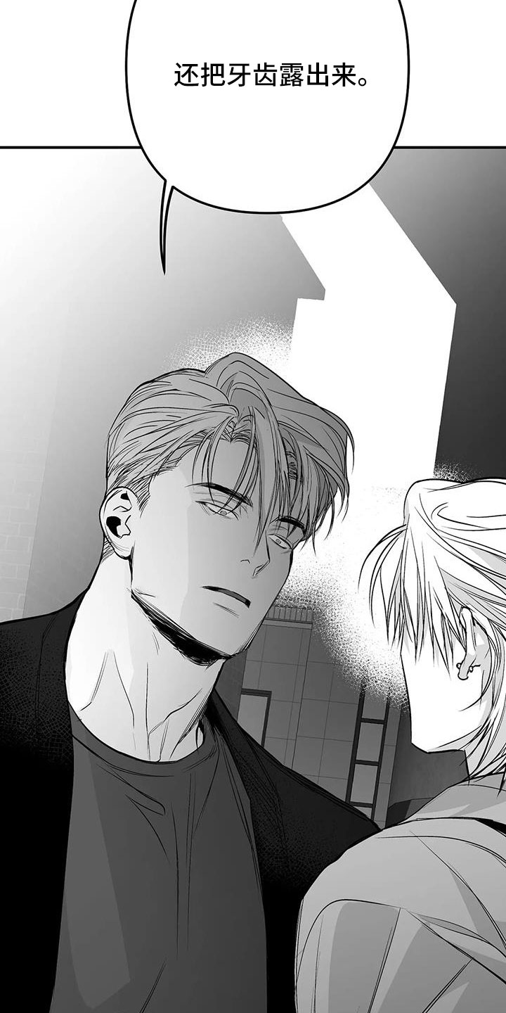 拳击手漫画,第213话1图