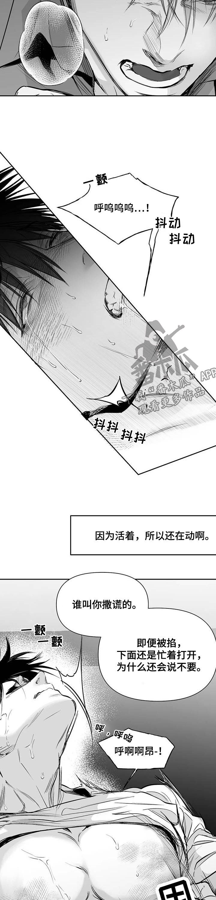 拳击手漫画,第139话2图
