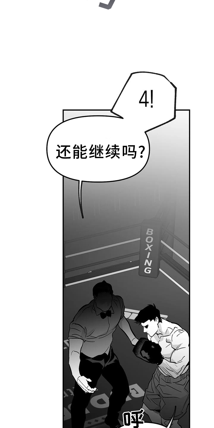 拳击手漫画,第227话1图