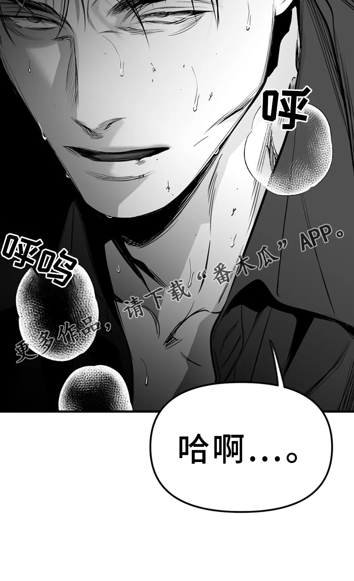 拳击手漫画,第249话1图