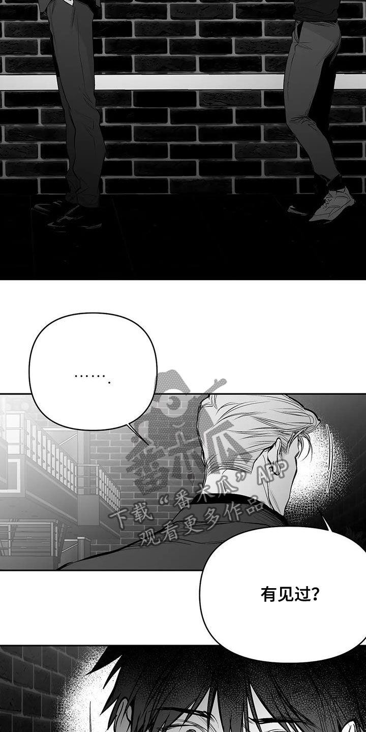拳击手漫画,第168话1图