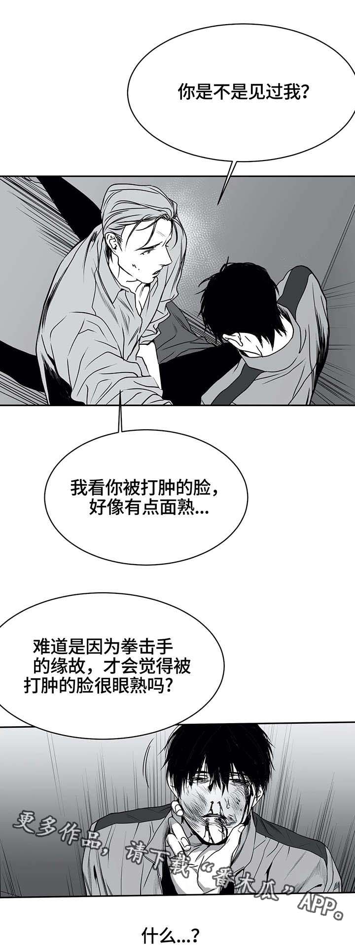 拳击手漫画,第6话1图