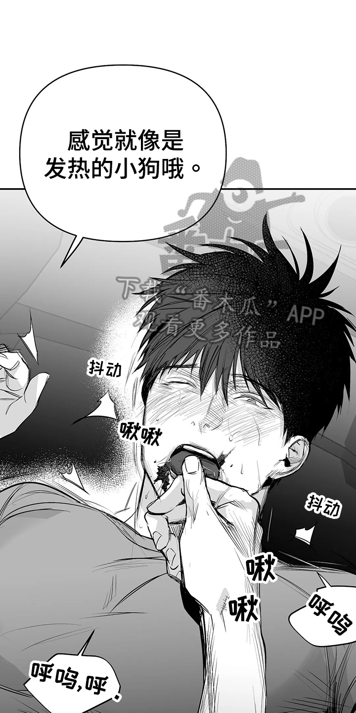 拳击手漫画,第187话1图