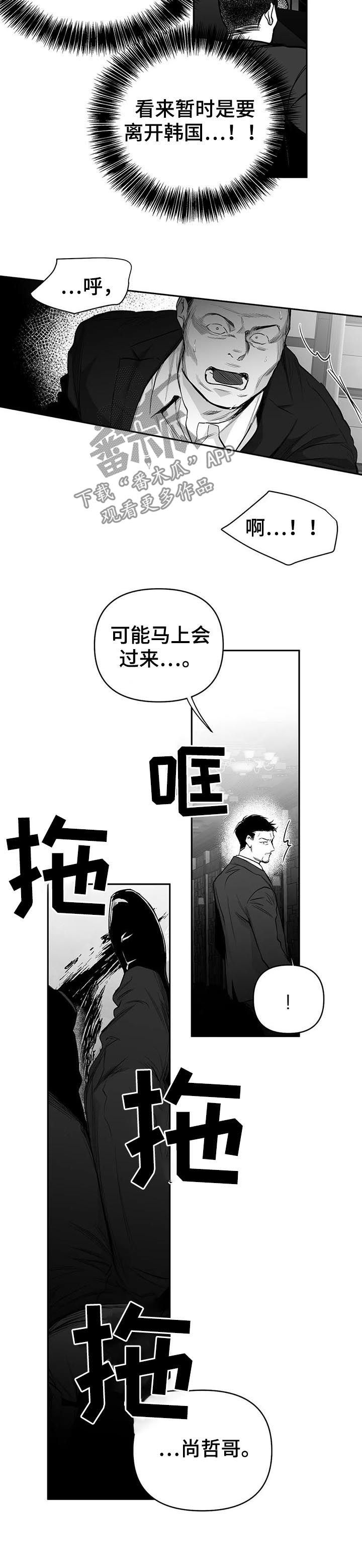 拳击手漫画,第87话2图