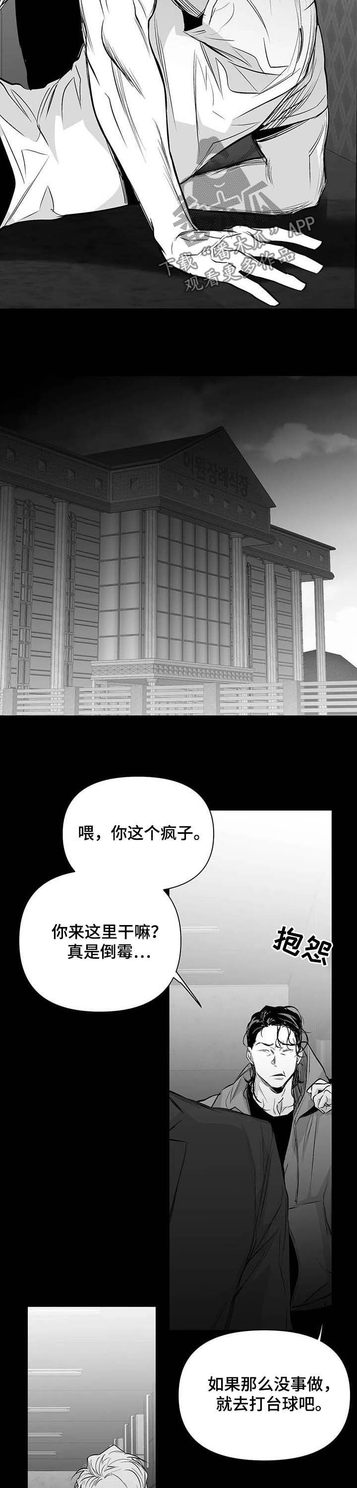 拳击手漫画,第141话2图