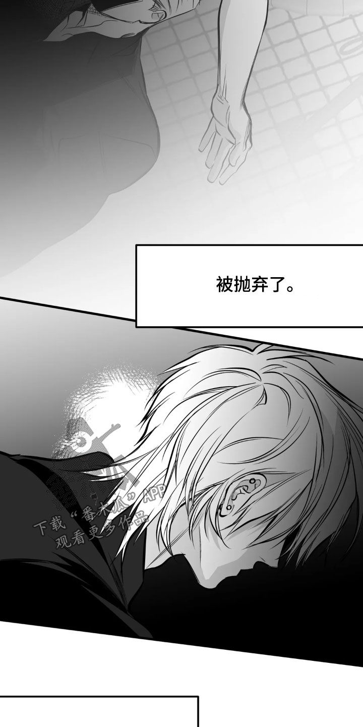 拳击手漫画,第259话1图