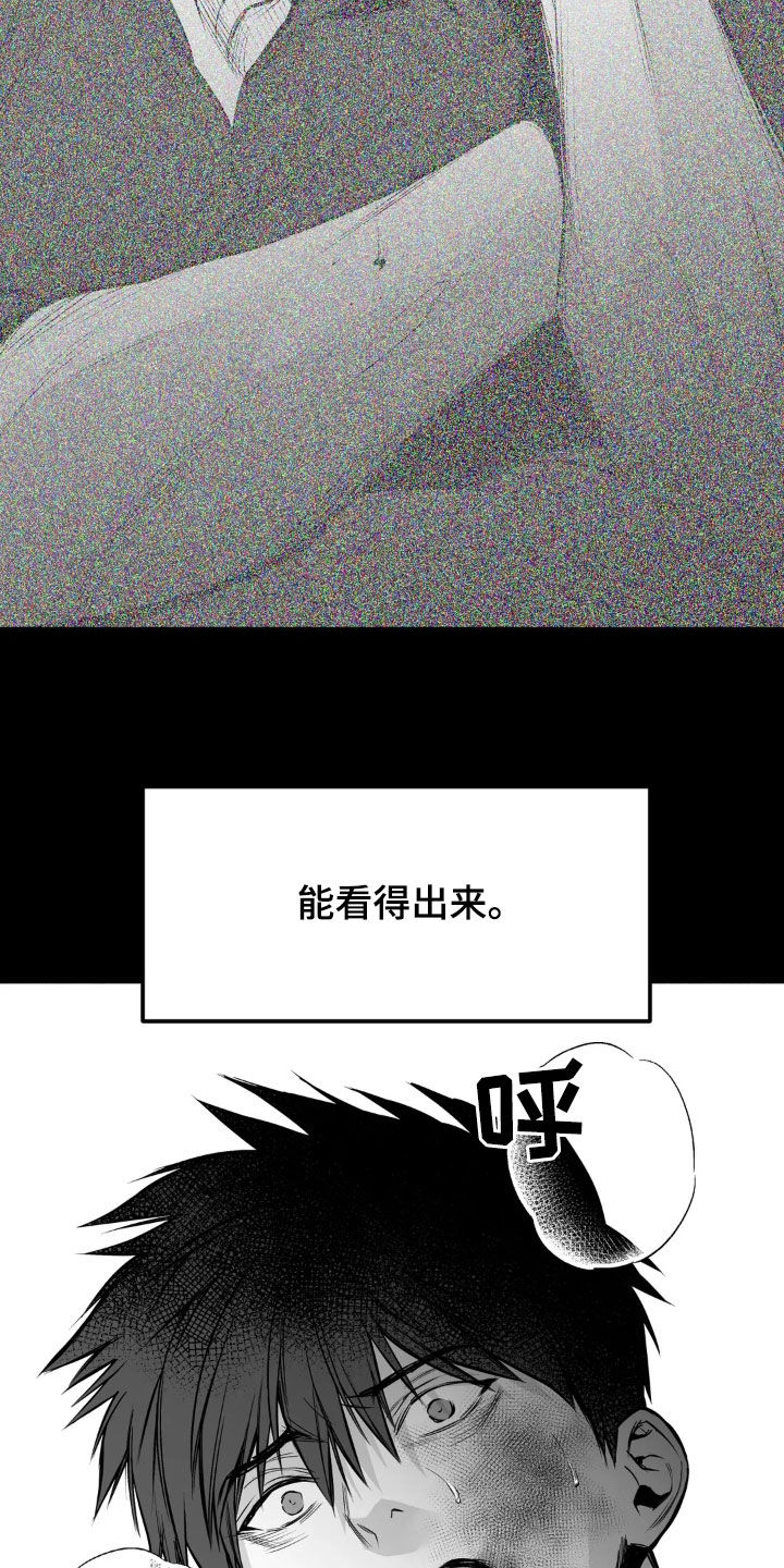 拳击手漫画,第255话1图