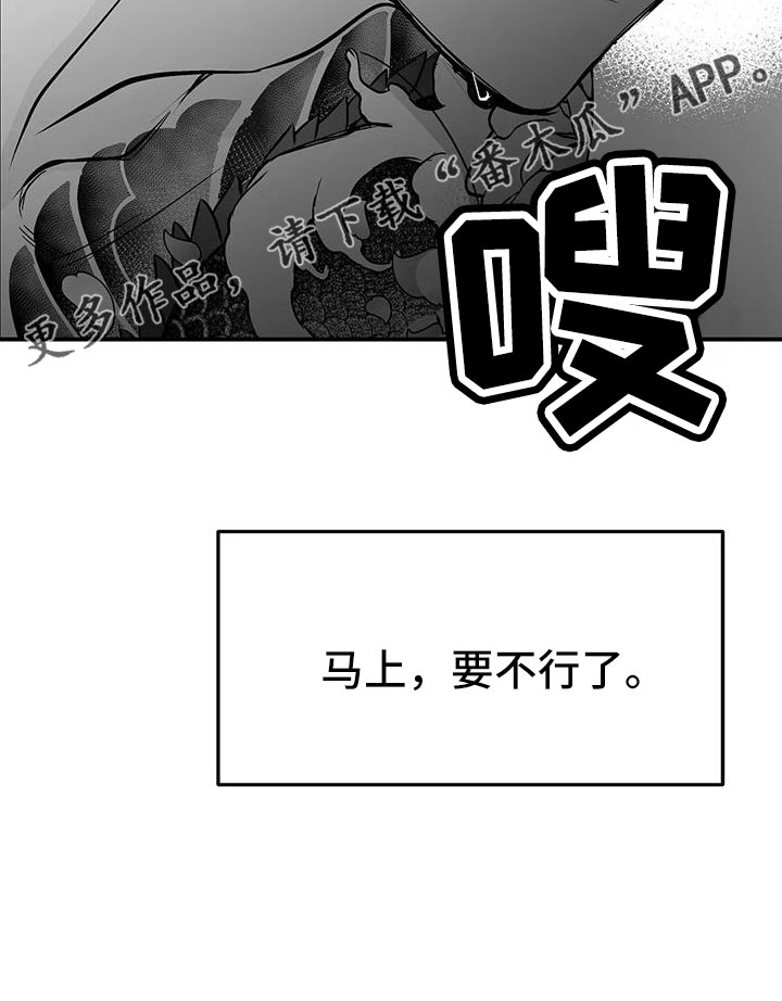 拳击手漫画,第216话1图