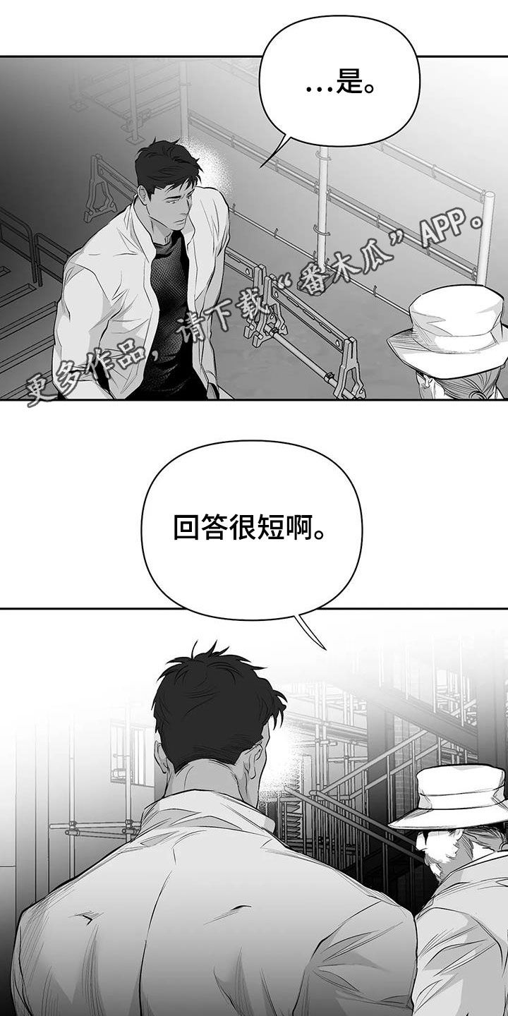拳击手漫画,第151话1图
