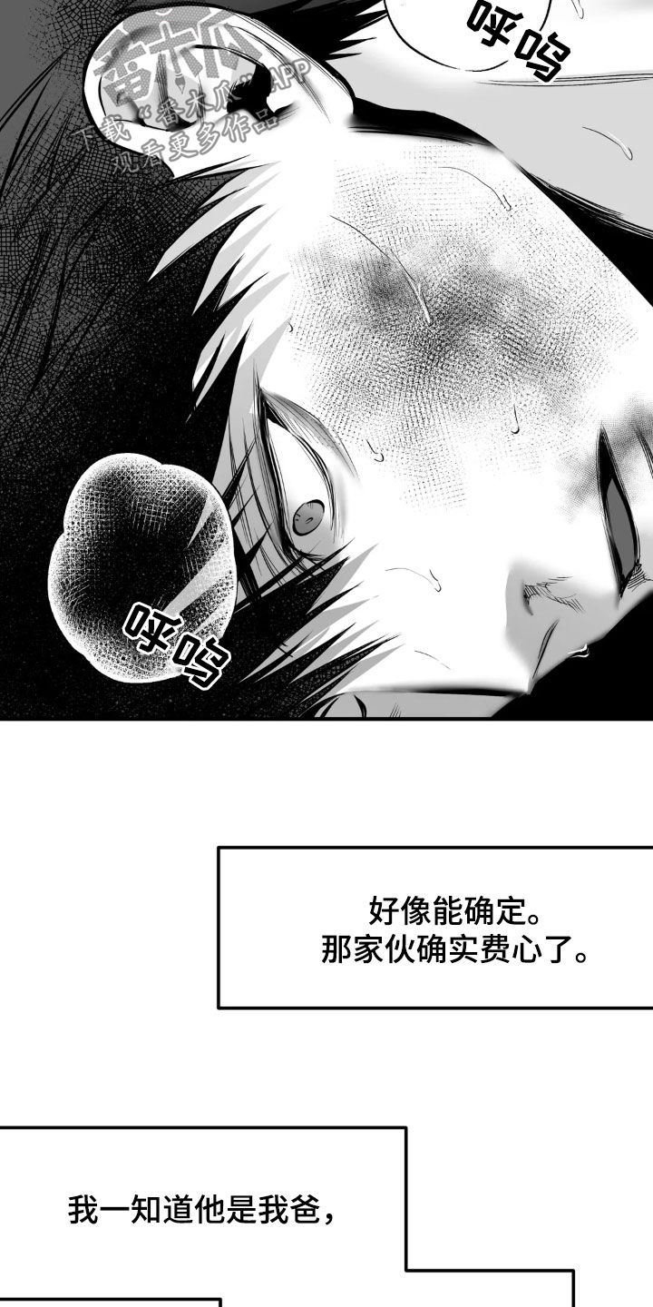 拳击手漫画,第253话2图
