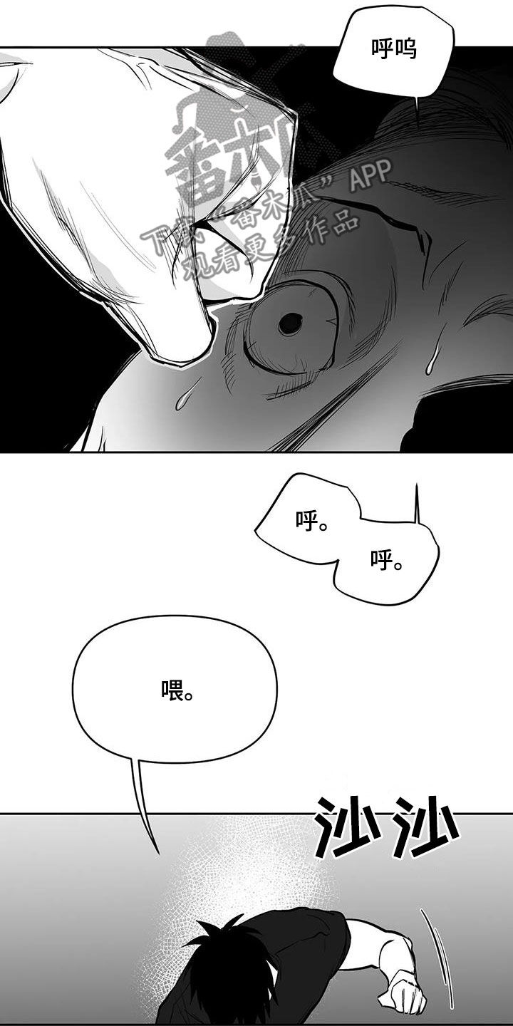 拳击手漫画,第165话1图