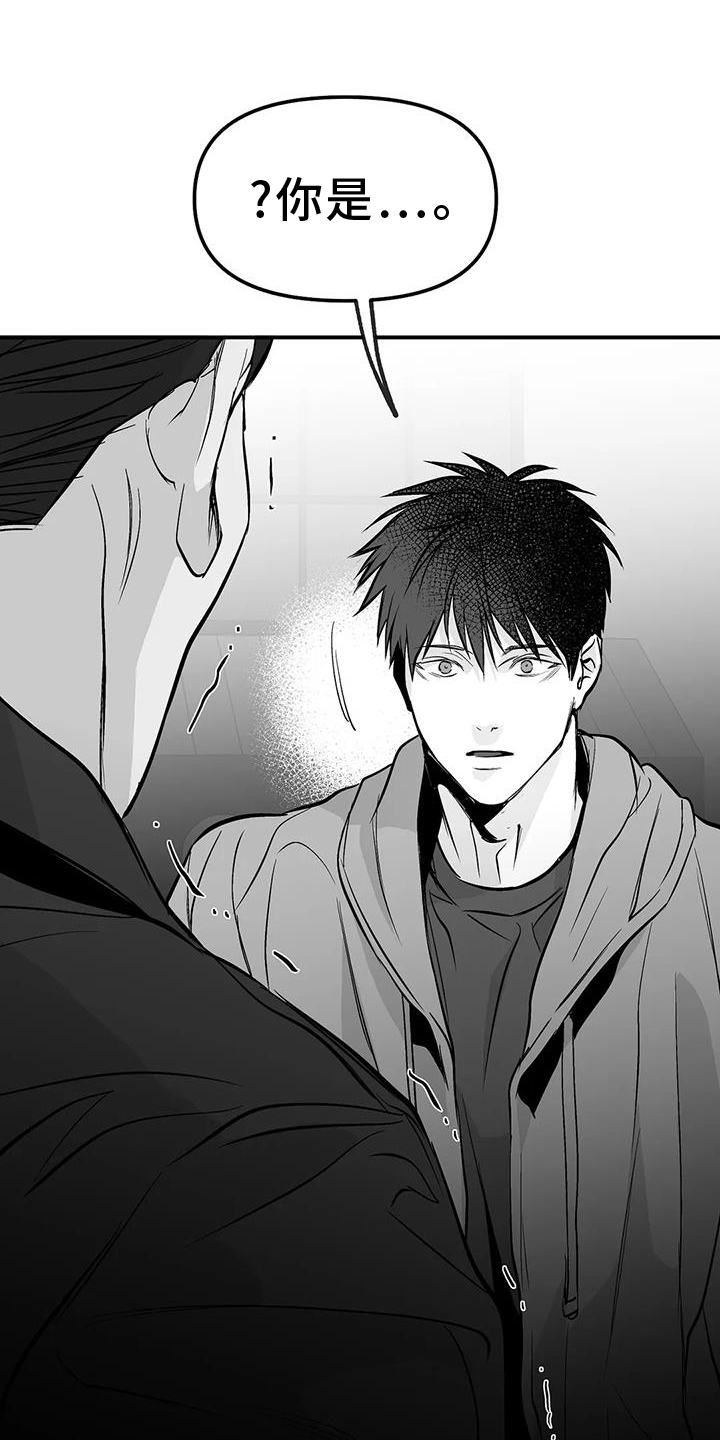 拳击手漫画,第229话1图
