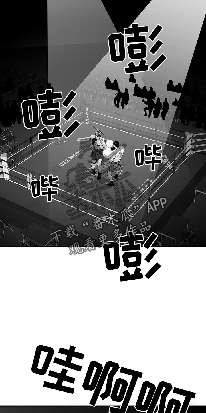 拳击手漫画,第226话2图