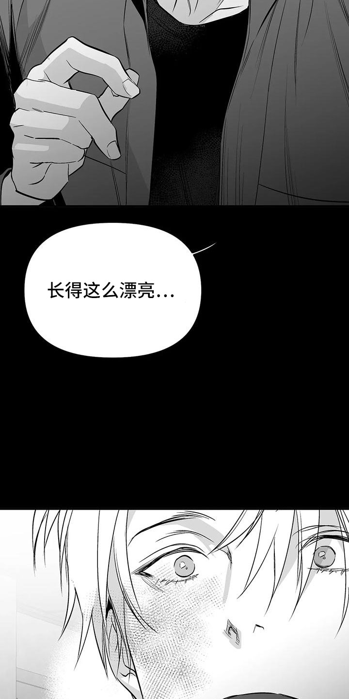 拳击手漫画,第199话2图