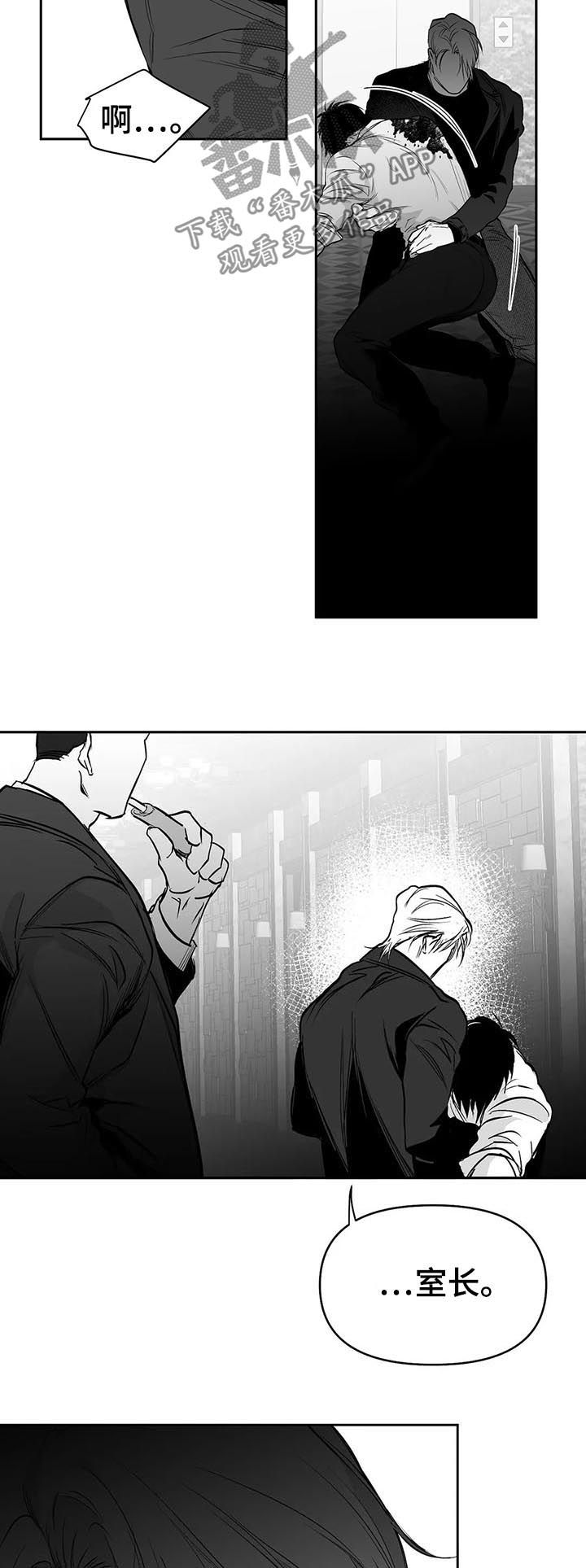 拳击手漫画,第87话1图