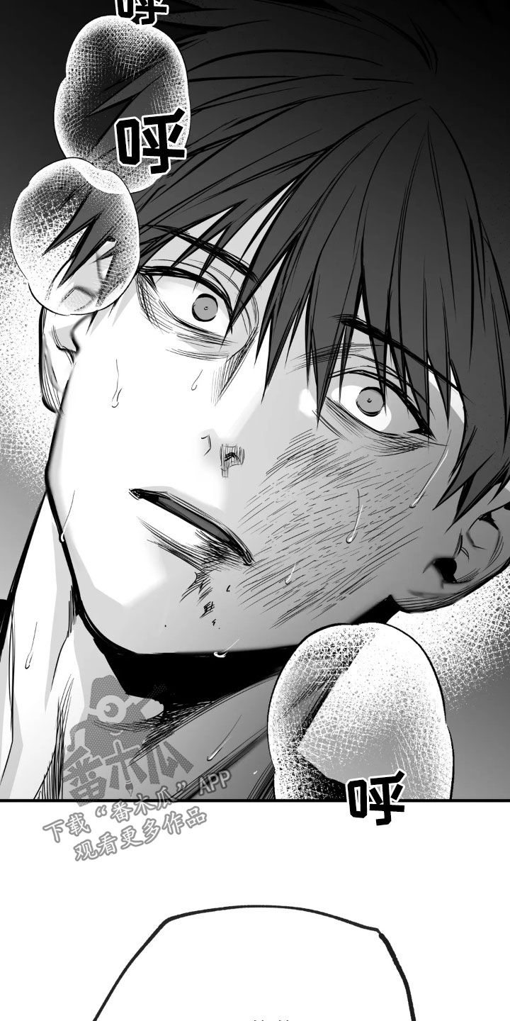 拳击手漫画,第253话2图
