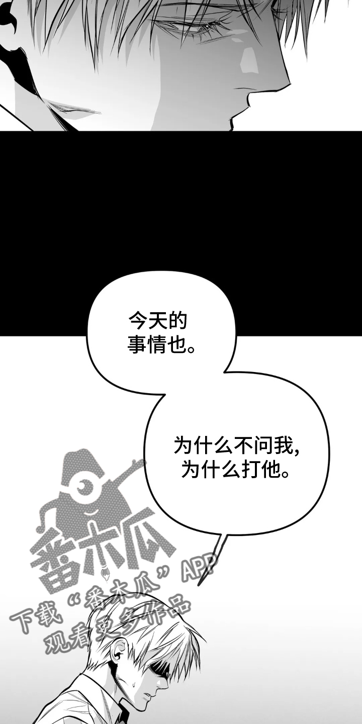 拳击手漫画,第241章：【第三季】和解2图