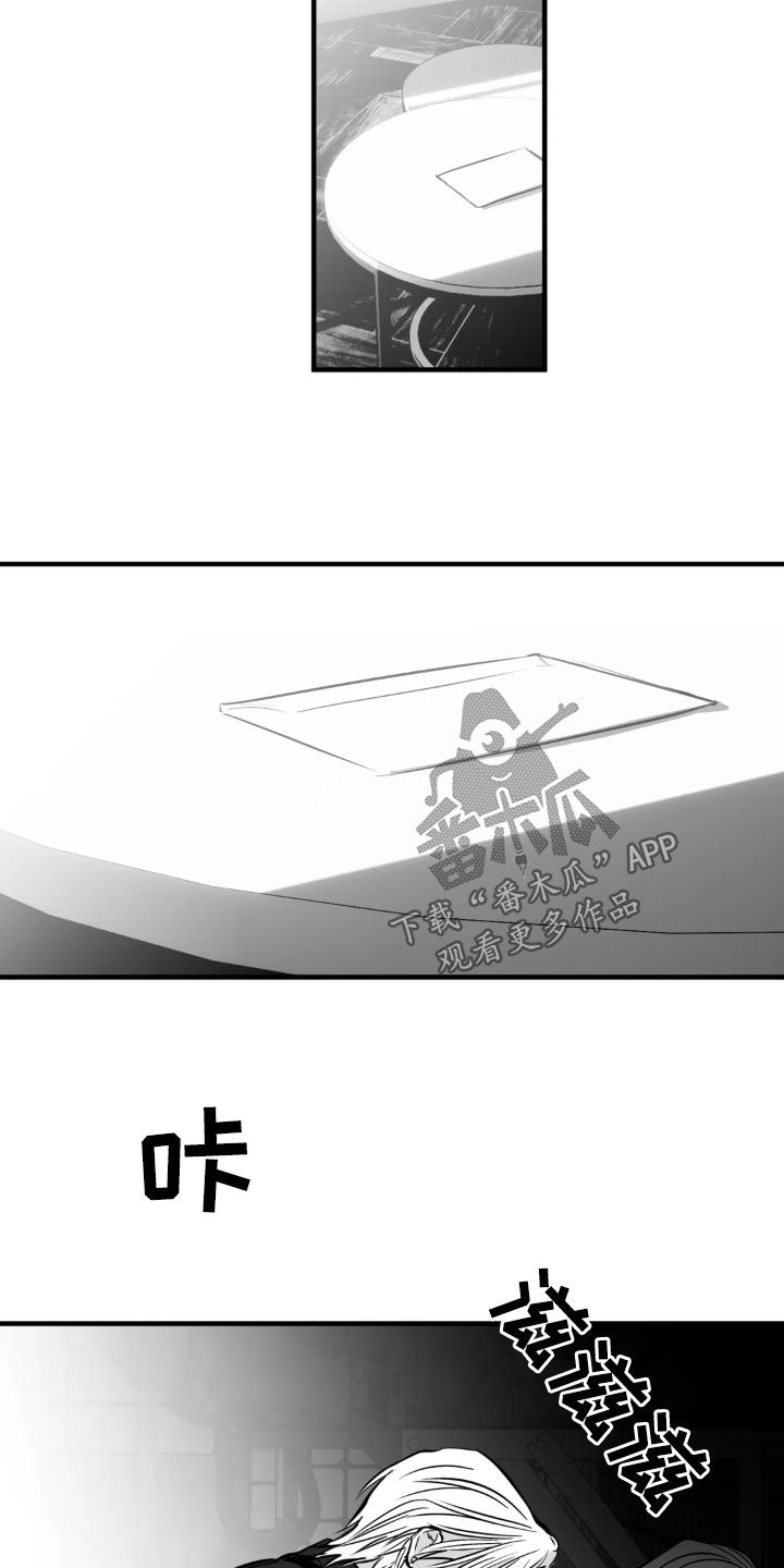 拳击手漫画,第256话2图