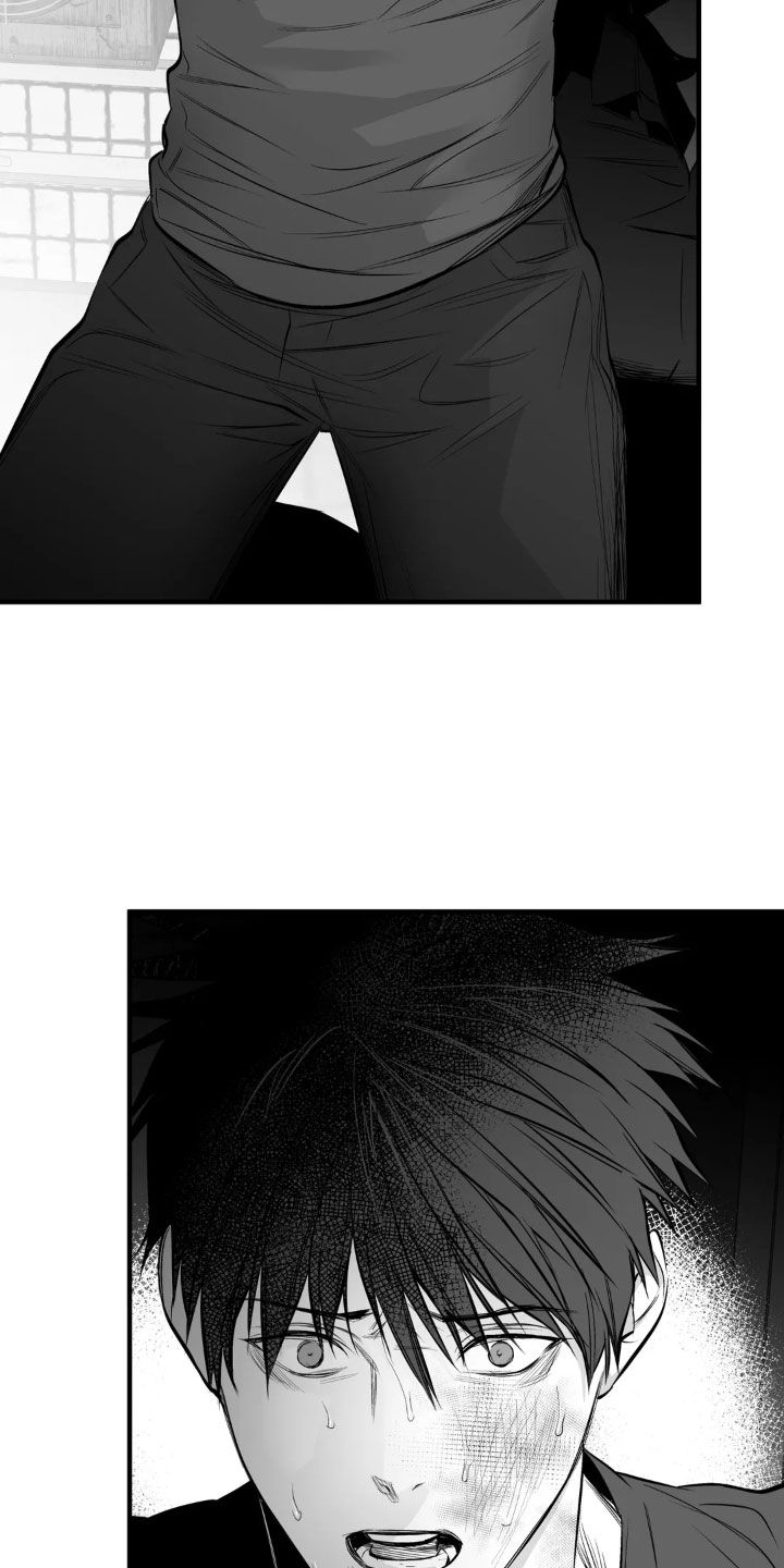 拳击手漫画,第259话2图
