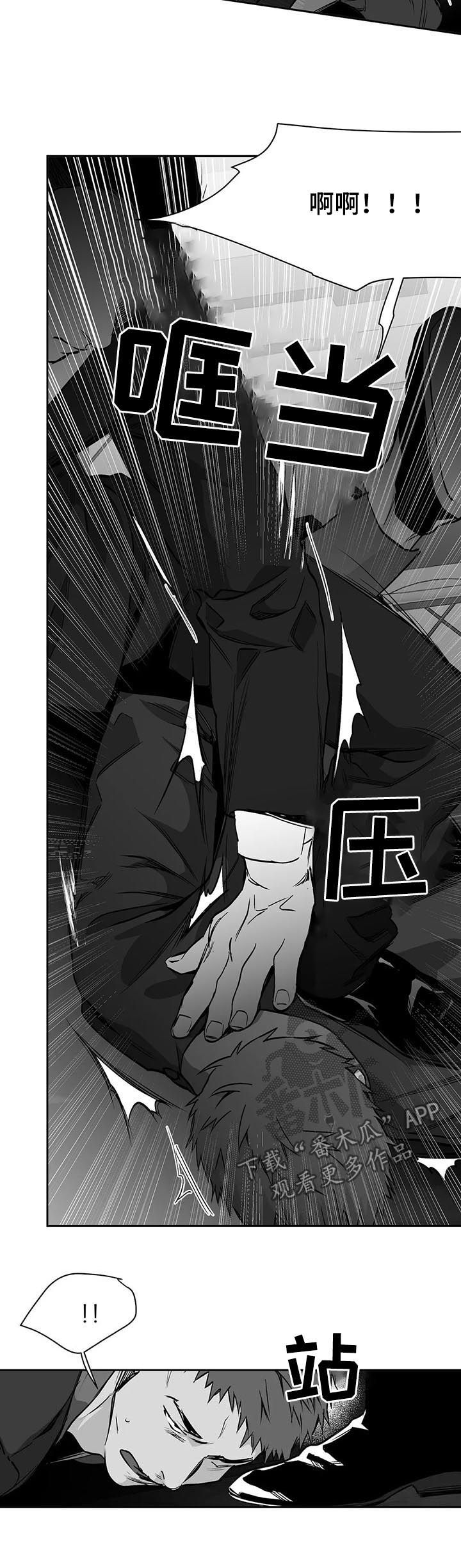 拳击手漫画,第79话1图