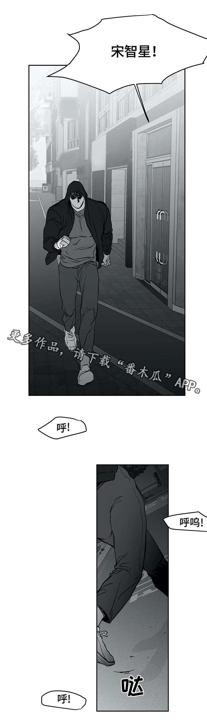 拳击手漫画,第29话1图