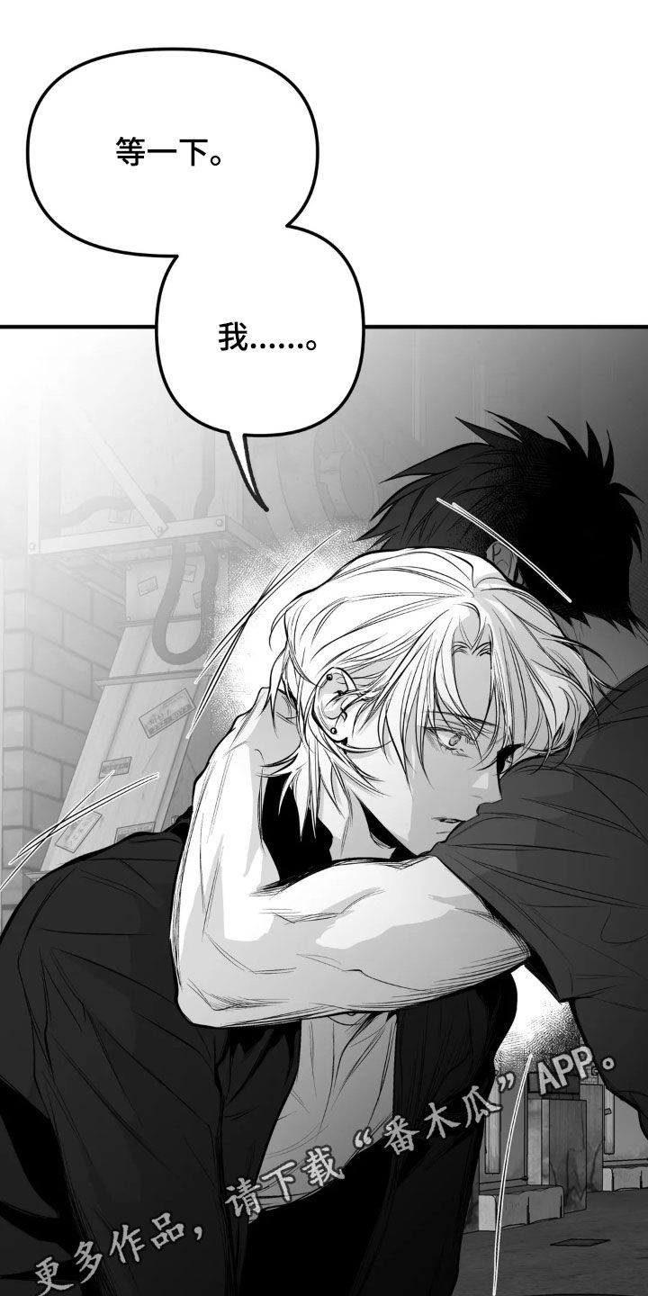 拳击手漫画,第260话1图