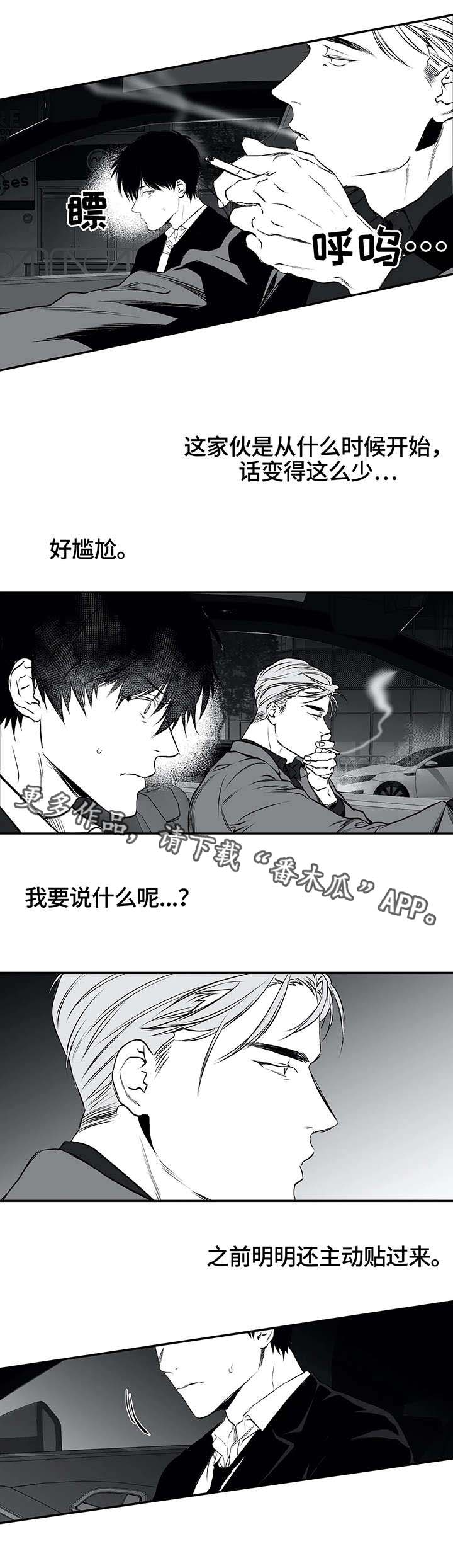 拳击手漫画,第19话1图