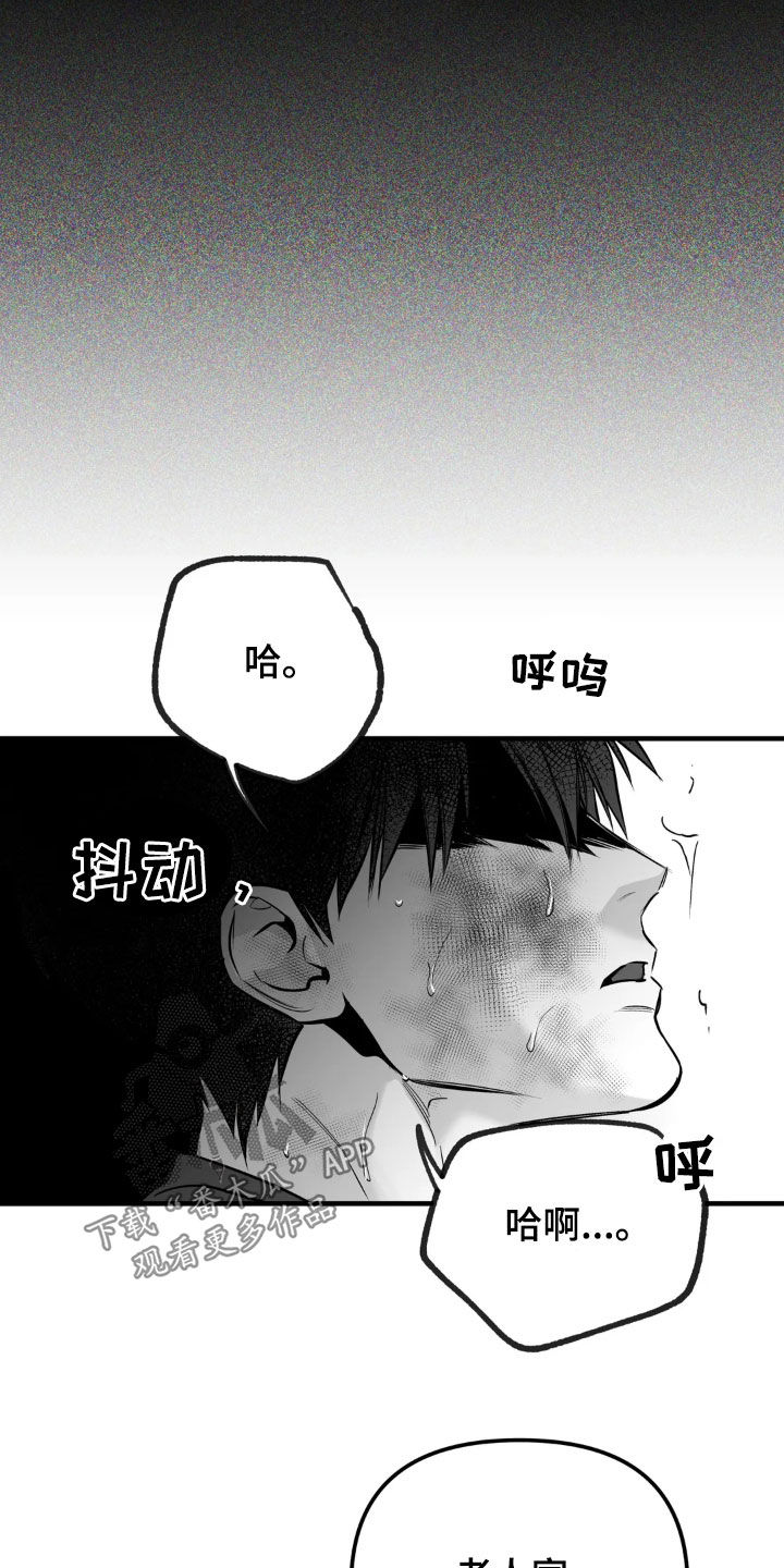 拳击手漫画,第254话1图