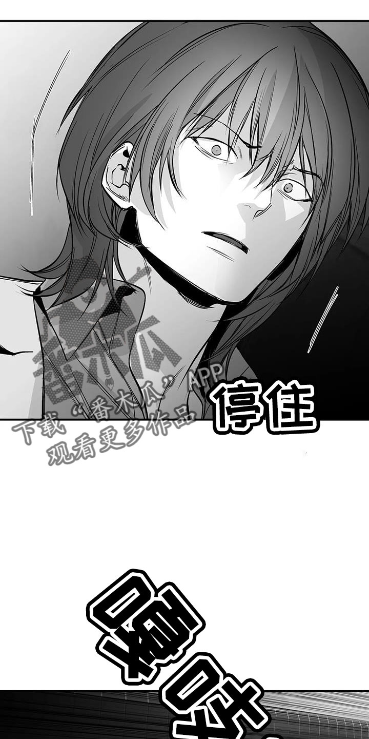 拳击手漫画,第221话2图