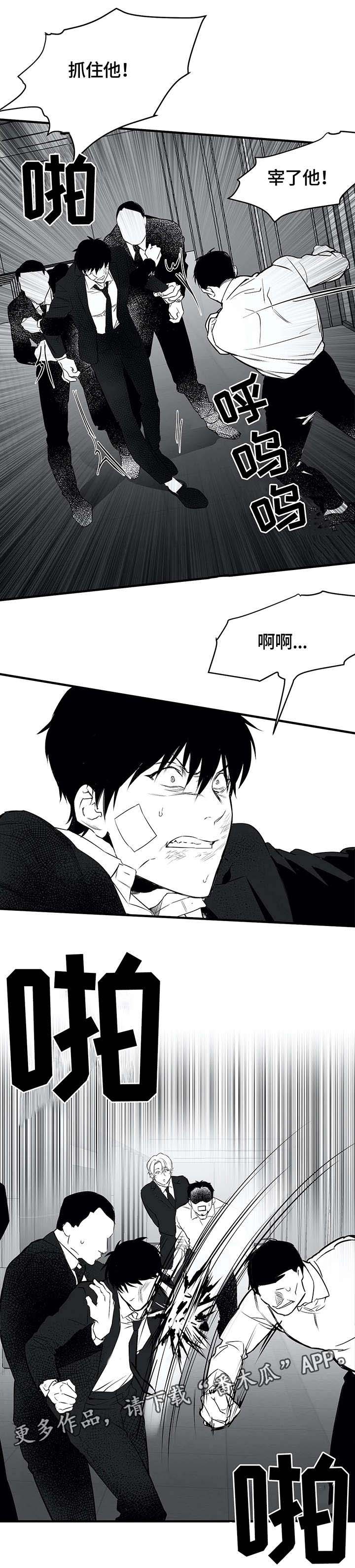 拳击手漫画,第12话1图