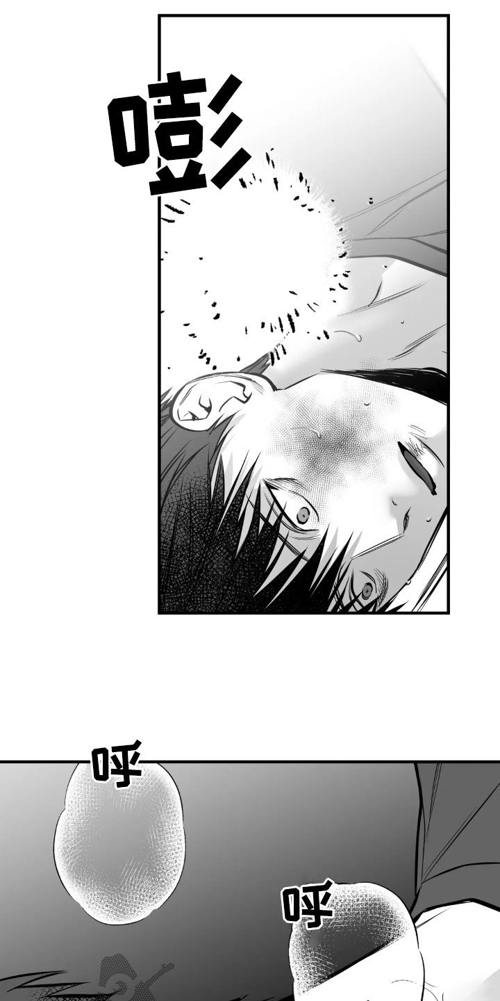 拳击手漫画,第253话1图