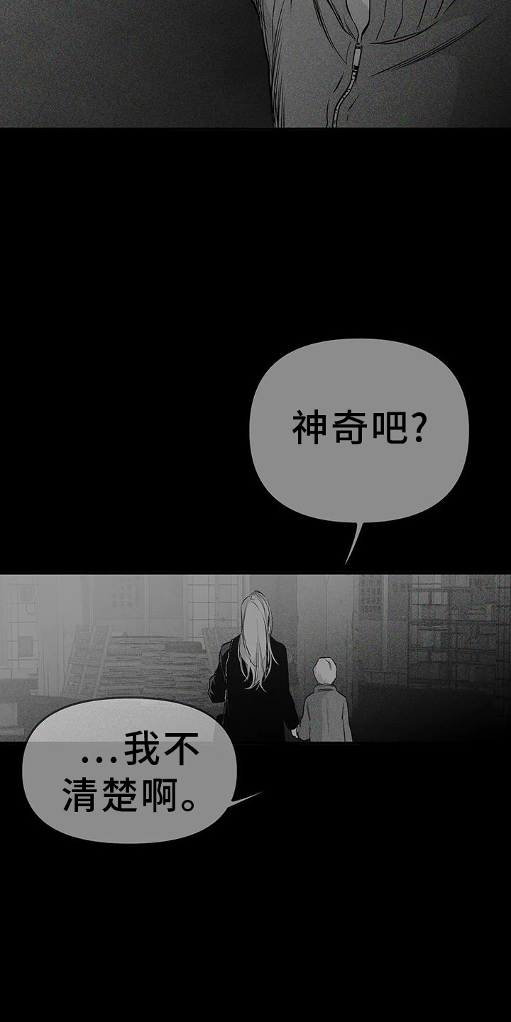 拳击手漫画,第233话1图