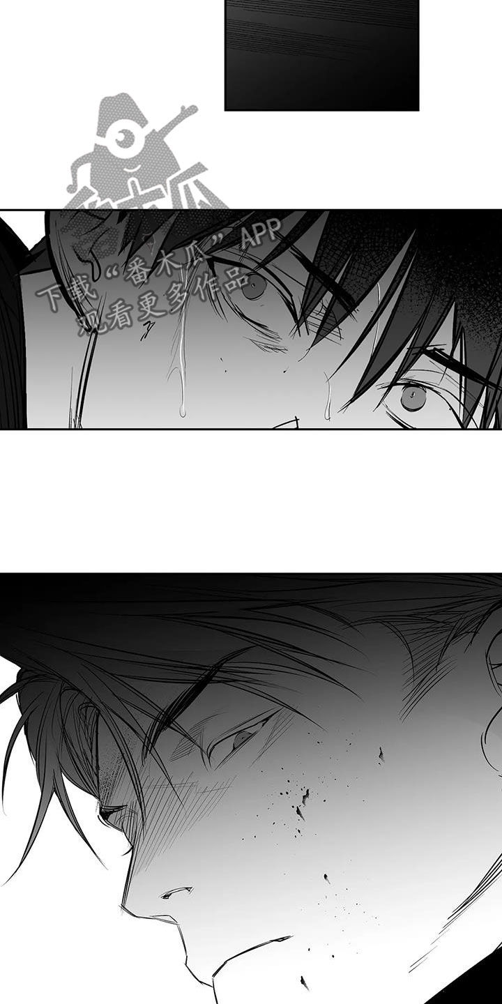 拳击手漫画,第168话1图
