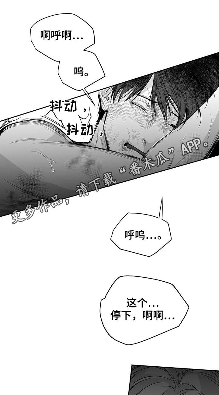 拳击手漫画,第122话1图