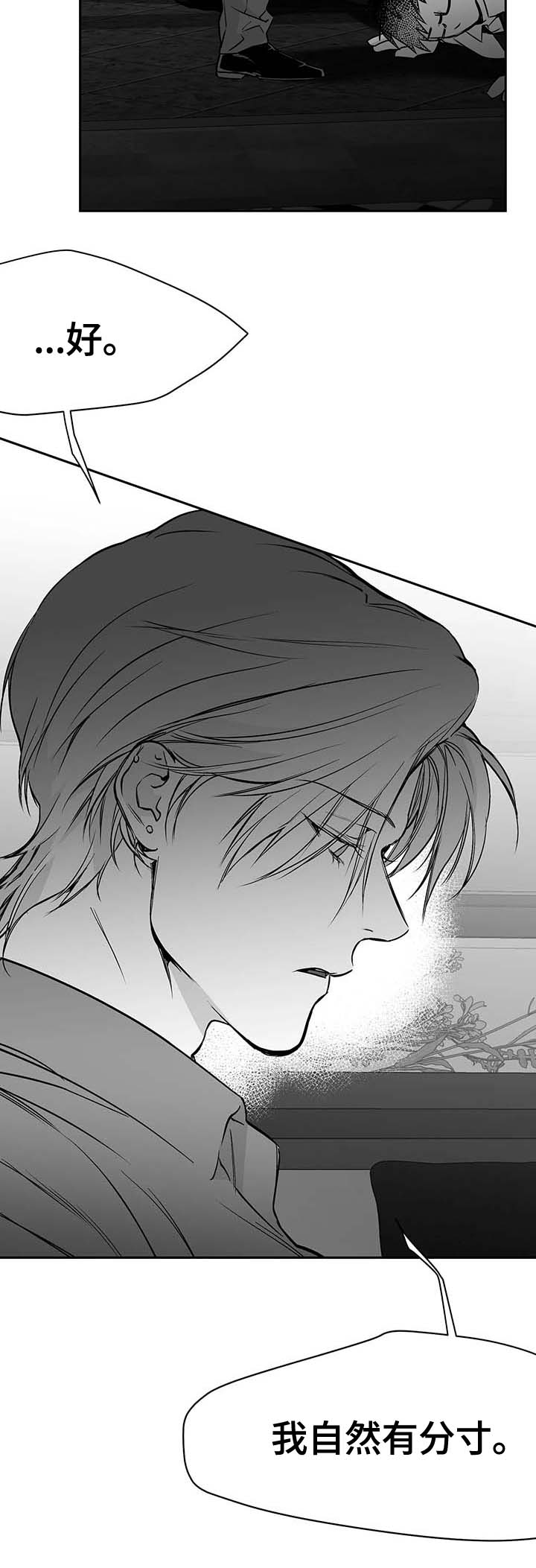 拳击手漫画,第65话1图