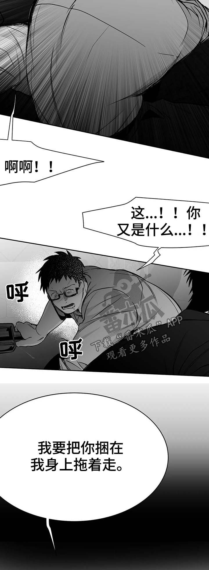 拳击手漫画,第65话1图