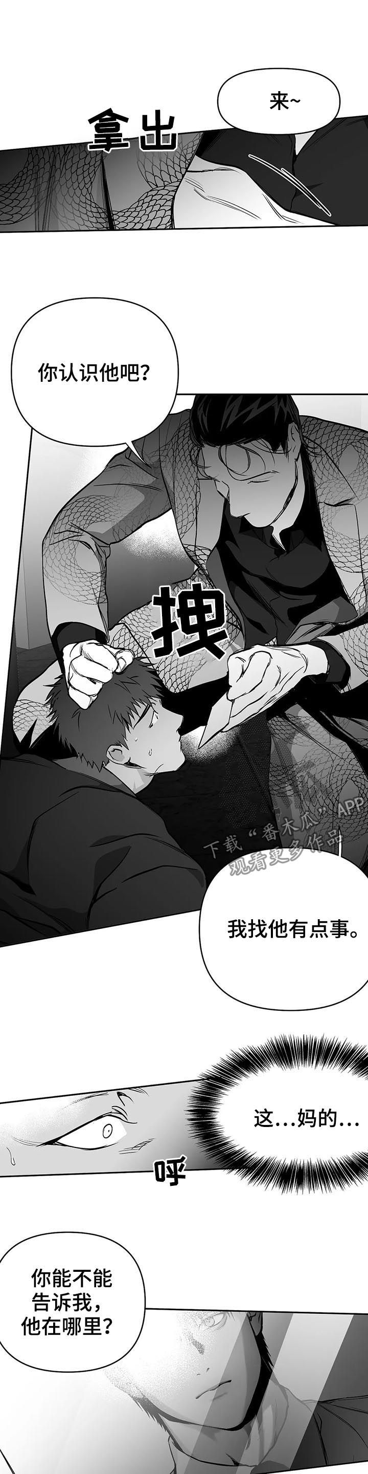 拳击手漫画,第79话2图